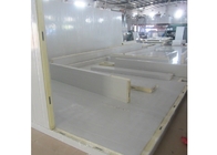 100mm panele izolacyjne z poliuretanu, 3-warstwowy panel warstwowy Cold Room