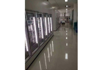 Dostosowane wielkości drzwi chłodnicze / drzwi szklane do zamrażarki medycznej