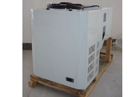 Cold Storage 3 HP Monoblock Refrigeration Unit Do montażu na ścianie z głębokim zamraŜaniem
