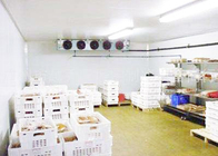 Kompresor chłodniczy Copeland dla przemysłu mięsnego Przetwory owocowe 1 rok gwarancji