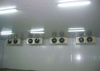 Fresh Keeping Commercial Freezer Room Chłodzenie powietrzem Panel PU o wysokiej intensywności